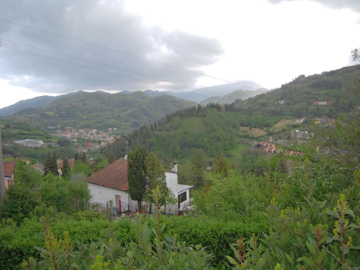 Il Pozzo Di Celle *